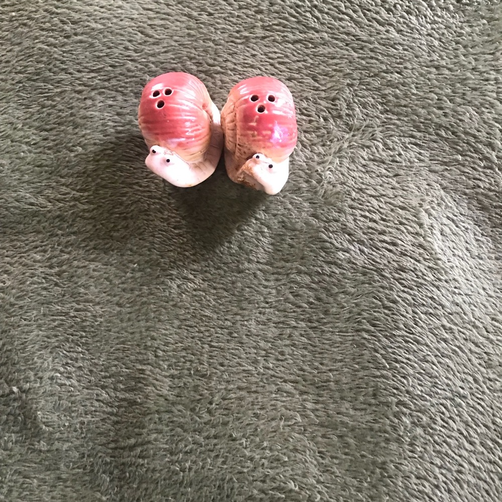 Snail Salt & pepper shaker
